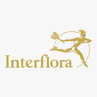 Interflora in Ash Shariqah (United Arab Emirates)